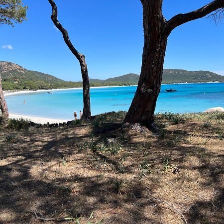 Willa Palombaggia Porto-Vecchio  Zewnętrze zdjęcie