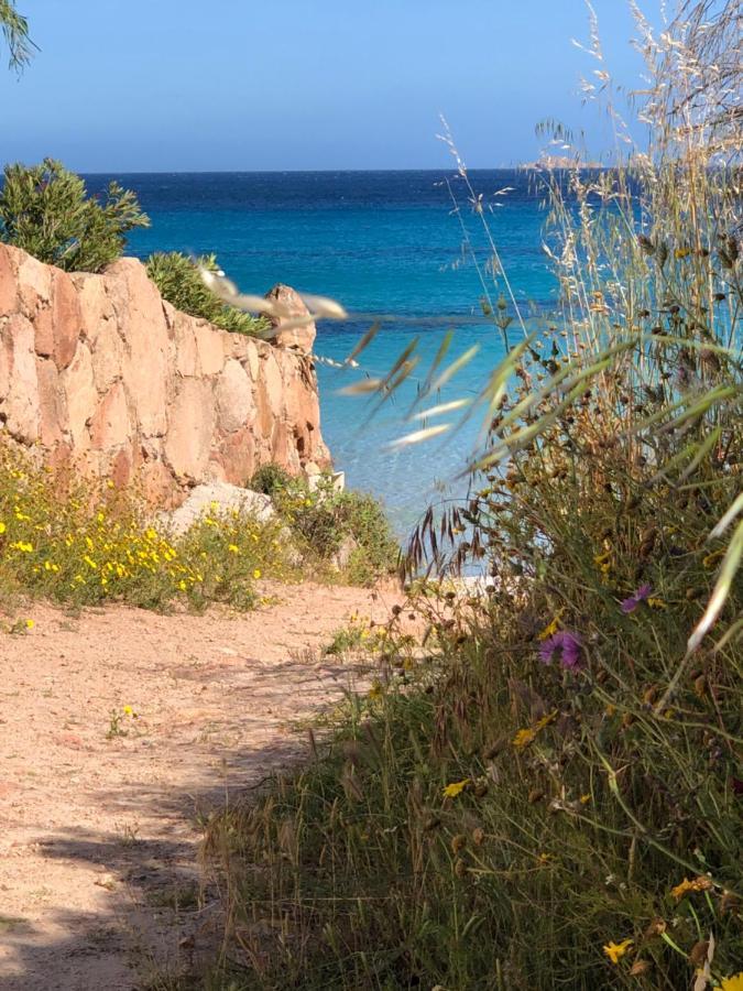 Willa Palombaggia Porto-Vecchio  Zewnętrze zdjęcie