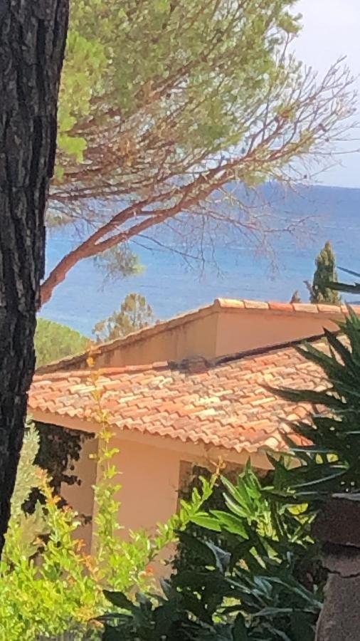 Willa Palombaggia Porto-Vecchio  Zewnętrze zdjęcie